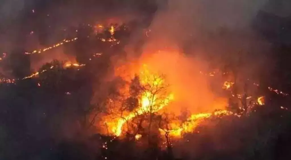 MS lidera emissões de carbono por incêndios no Brasil