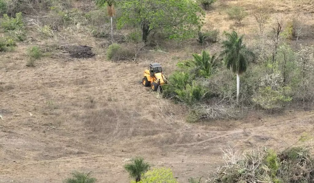 Pantanal caminha para o fim, com 97% de terras privadas e 82% menos água