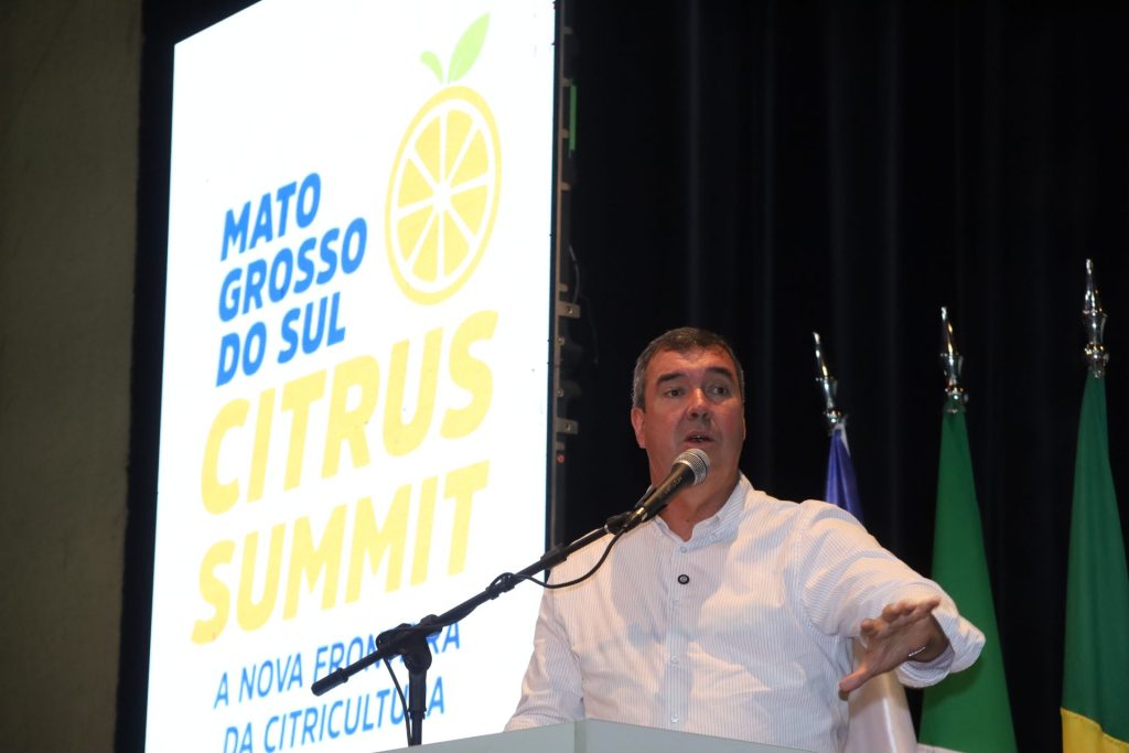 Com apoio do Estado e ambiente positivo, citricultura de MS avança como nova fronteira agrícola brasileira