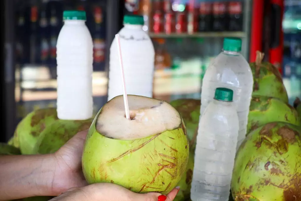 Calor aumenta demanda e água de coco vai de R$ 3,90 a R$ 29,50 em Campo Grande