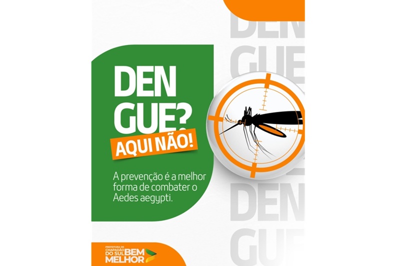 Chapadão do Sul inicia ações intensificadas de combate ao aedes aegypti