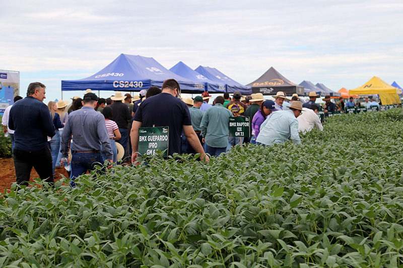 Tour da Soja começa com apresentação de 30 novos materiais no mercado dos 90 experimentados em Chapadão do Sul