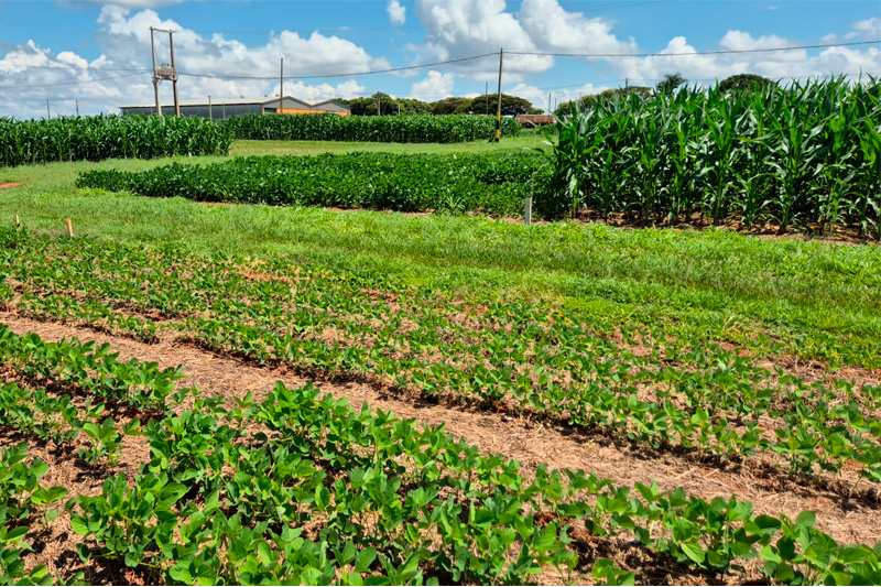 Mais de 100 expositores estão confirmados para a TecnoAgro 2026 da Fundação Chapadão