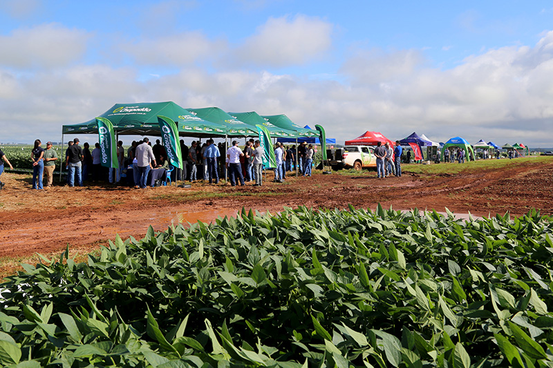 Encontro técnico da Fundação Chapadão apresenta produtos de nutrifisiologia e bioestimulantes de dez empresas