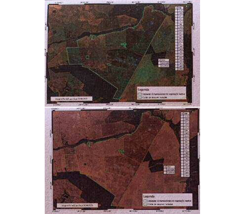 Fazendas são investigadas por desmate de mais de 3 mil hectares em Figueirão