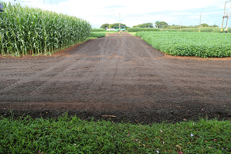 Faltam 30 dias para início da TecnoAgro e parque recebe melhorias para conforto dos expositores e visitantes