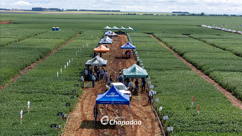 Realizada a segunda etapa do Tour da Soja com apresentação de 90 cultivares em Chapadão do Céu