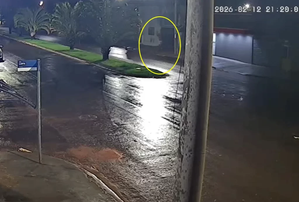 Câmera de segurança flagra homem agredindo brutalmente cachorro em Chapadão do Sul