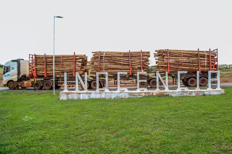 Justiça manda Suzano pagar R$ 1,8 milhão em impostos à Prefeitura de Inocência