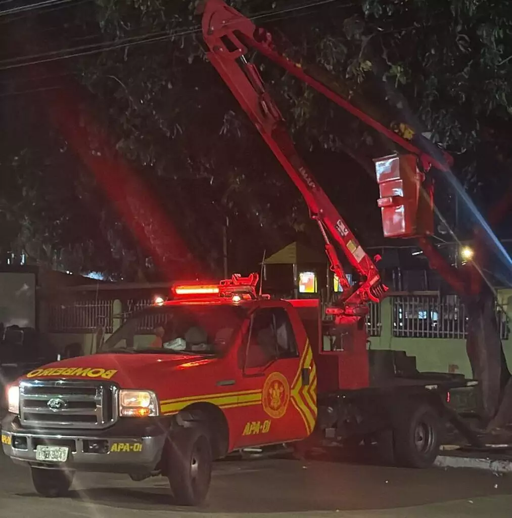 Nem bombeiros escapam de ataque de abelhas que deixou mãe e 2 crianças feridas