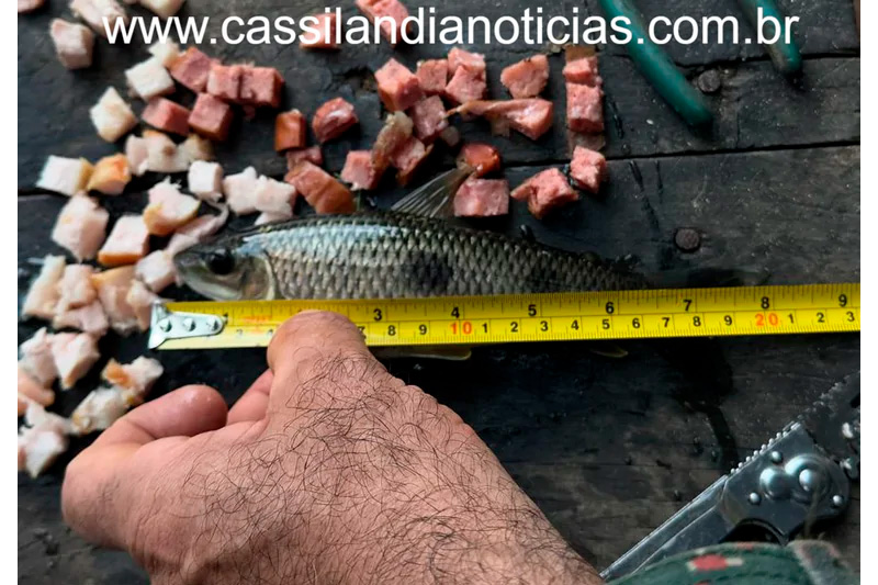 Operação Semana Santa: PMA intensifica fiscalização no rio Aporé e autua pescadores em Cassilândia