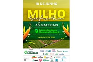 Dia de Campo Milho Safrinha da Fundação Chapadão acontece dia 18 e apontará os desafios da cultura neste ano