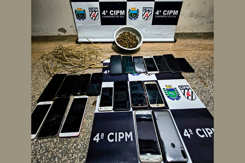 PM prende mulher por maus-tratos a animais e cultivo de maconha em Chapadão do Sul