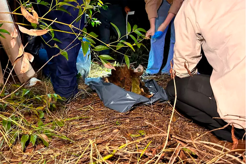 Ossada é encontrada em fazenda e pode ser de homem desaparecido há 3 anos