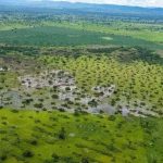 MS paga por preservação, mas libera 23 fazendas para ampliar pasto no Pantanal