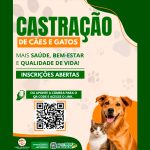 Chapadão do Sul amplia castração gratuita de cães e gatos, machos e fêmeas, e abre inscrições para novos atendimentos