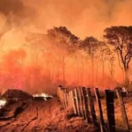 Sem chuva e com baixa umidade do ar, área queimada no Pantanal aumenta 770% em 2026