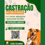 Canil Municipal abre inscrições para programa de castração gratuita de cães e gatos em Chapadão do Sul