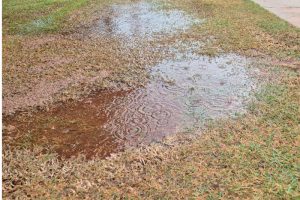 Chuva em agosto na região de Chapadão do Sul surpreende