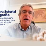 Câmara Setorial do Algodão atualiza cenário da safra e debate estratégias para ampliar mercados da fibra brasileira