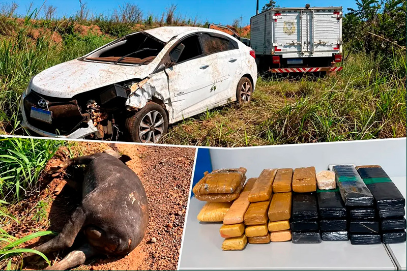 Cassilandense morre após carro bater em anta na GO-341 e drogas são encontradas no veículo